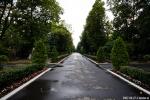main path